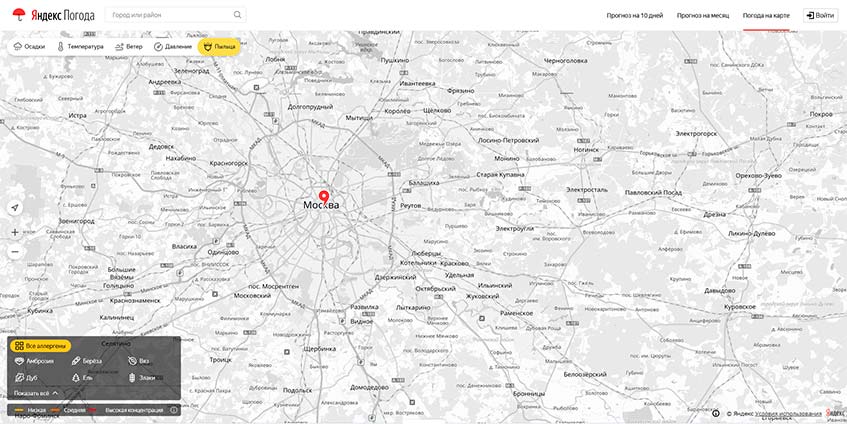 Яндекс про пыльцу: вопросы и ответы о новом сервисе