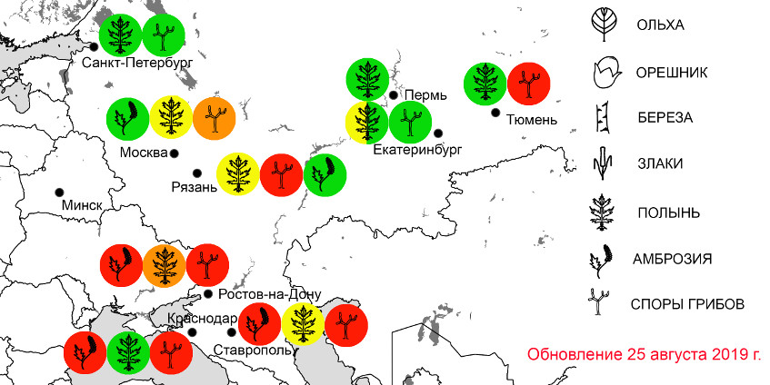 АЛЛЕРГОТОП-мониторинг на карте